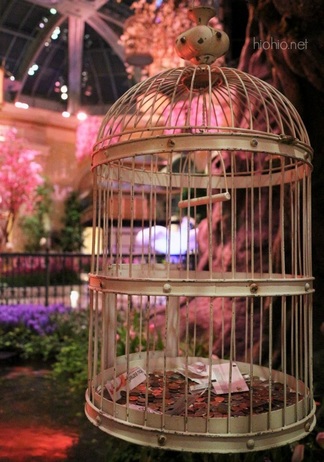 Bellagio Las Vegas Conservatory (Spring 2016 Display), Bird Cage with Money. 
