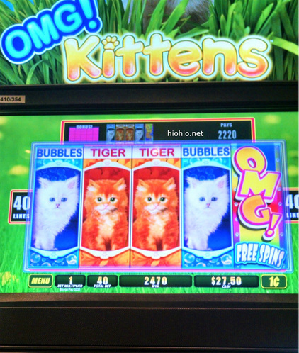 OMG Kittens Slot Machine. 