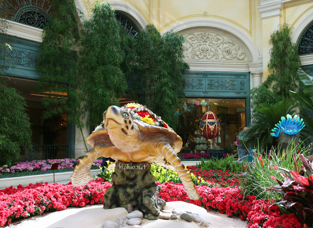 Bellagio Conservatory Under the Sea May 2015 (turtle).