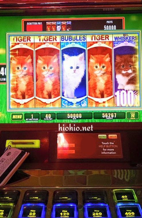Wynn Las Vegas Slots.