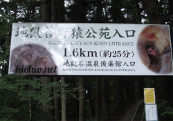 Nagano Monkey Park Entrance.
