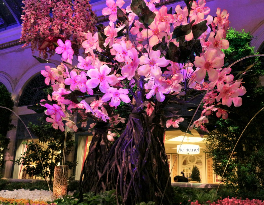 Bellagio Las Vegas Conservatory (Spring 2016 Display) 6, Custom Cherry Blossom Tree. 