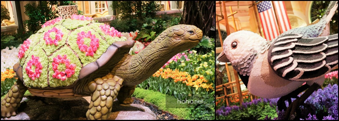 Bellagio Las Vegas Conservatory (Spring 2016 Display) 4, Bird and Turtle with flowers. 